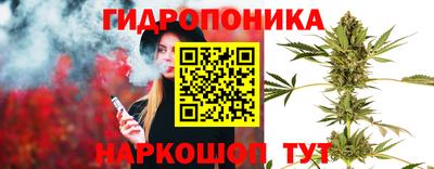 apvp Жуковский