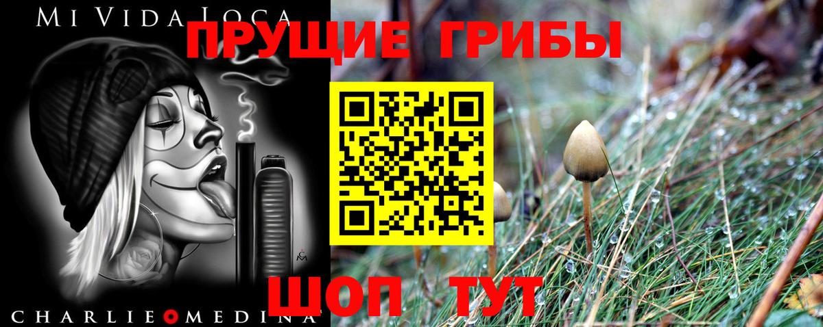 Псилоцибиновые грибы мухоморы Люберцы